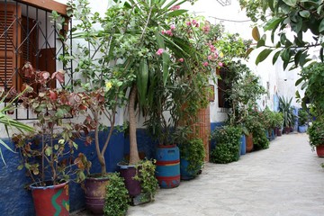 Maroc, Asilah, street patio