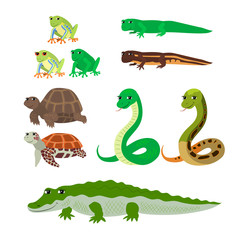 Cartoon set tree frog newt aquatic turtle snake crocodile