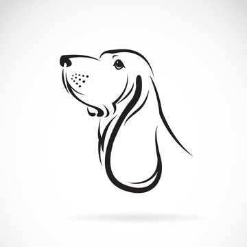 Vector of a basset hound head on white background. Pets. Animals.