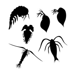 Plankton vector silhouettes. - obrazy, fototapety, plakaty