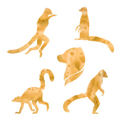 Vector watercolor lemur.