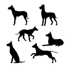 Breed of a dog great dane vector silhouettes.