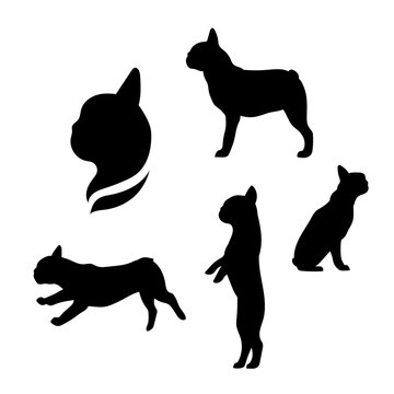French bulldog vector silhouettes.