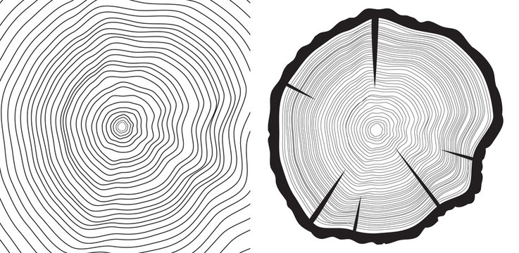 sawcut tree trunk and tree-rings background