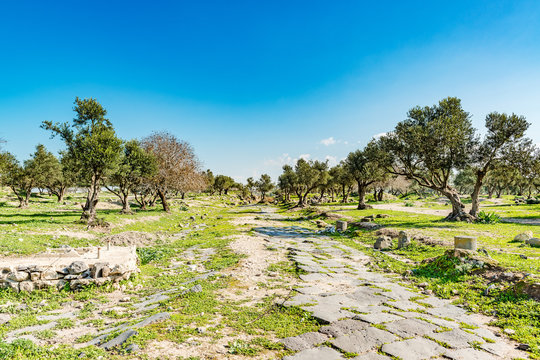 The hippodrome of Umm Qais in the ancient city of Decapolis, northern Jordan. It is located in the extreme north-west of the country, where the borders of Jordan, Israel and Syria meet.