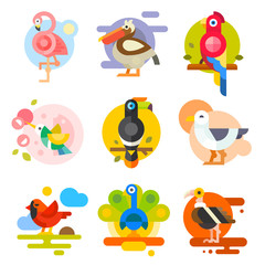 Different birds: pelican, flamingo, toucan, parrot, hummingbird, eagle, seagull, peacock. Vector flat Illustrations 