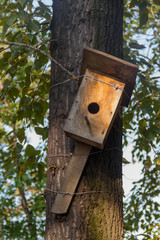 Abandoned birdhouse on a tree.