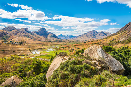 Fototapeta Anja - Nature reserve of Madagascar