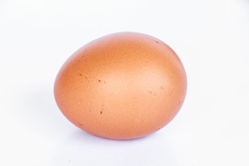 egg on white background
