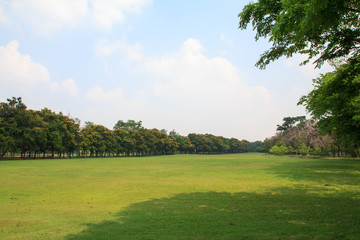 Obraz premium Public park beautiful