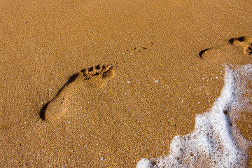 Footprints in the sand