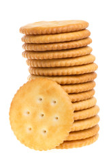 Biscuit