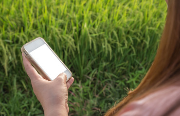 women hand using smart phone