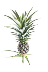 Obraz premium Fresh pineapple