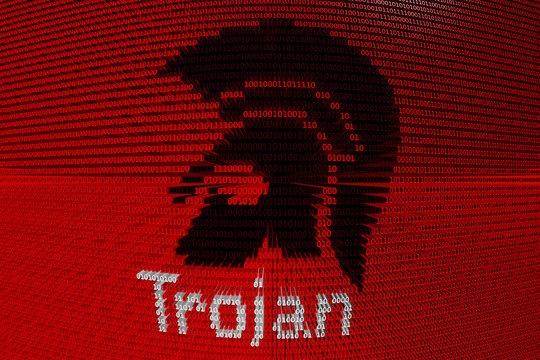 a Trojan virus is presented in the form of binary code 