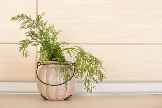Dill in pot on kitchen countertop