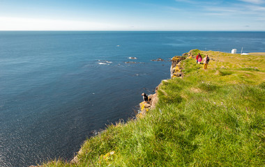 Puffin on Latrabjarg Cliffs, Iceland