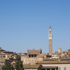 Fototapeta premium Siena
