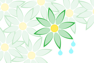 Flowers and drops in the white background