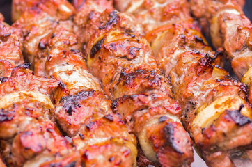 fresh tasty meat kebab