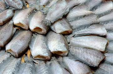 Dried fish.