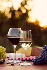 Fototapeta na wymiar Two glasses of white and red wine