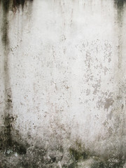 Dirty white wall wet