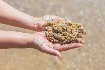 sand beach in two hands