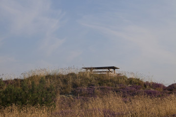Picnic Spot. Among the waving dune grasses on top of a sand dune is a picnic spot.