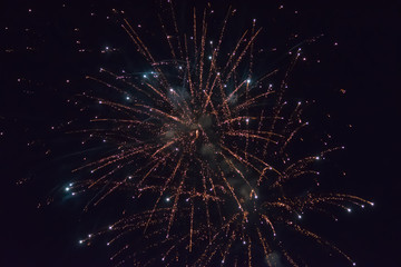 Fireworks bursting at night.
