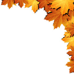 Autumn leaves background with space for text