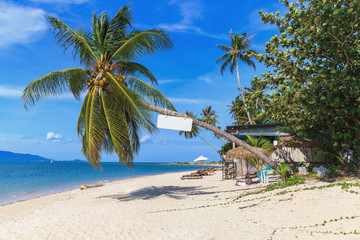 Obraz premium Beautiful tropical beach with palm trees