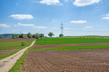 Fototapeta na wymiar country lane through farmland