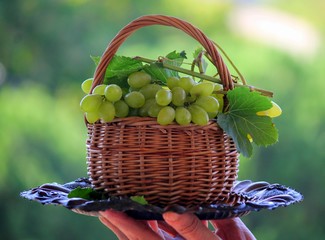 basket of grapes