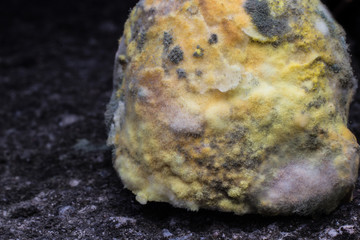 close-up Moldy food a  background.