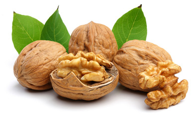walnut group