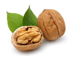 walnut group