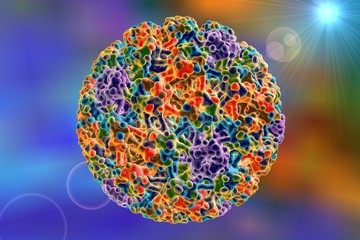 Human Papillomavirus type 16 which causes cancer of cervix of uteri on colorful background (HPV). A model is built using data of viral macromolecular structure from Protein Data Bank (PDB 3J6R)