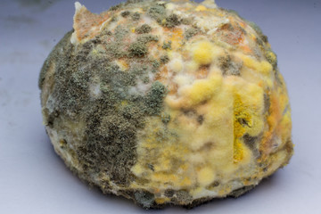 close-up Moldy food a  background.