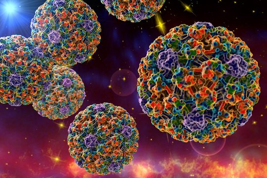 Human Papillomavirus type 16 on surrealistic background (HPV). A model is built using data of viral macromolecular structure from Protein Data Bank (PDB 3J6R). Elements of this image furnished by NASA