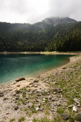 lake in green forest of pine trees in mountains