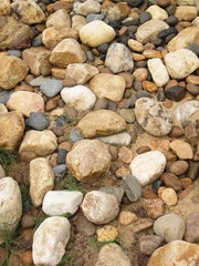 Rocks in the garden