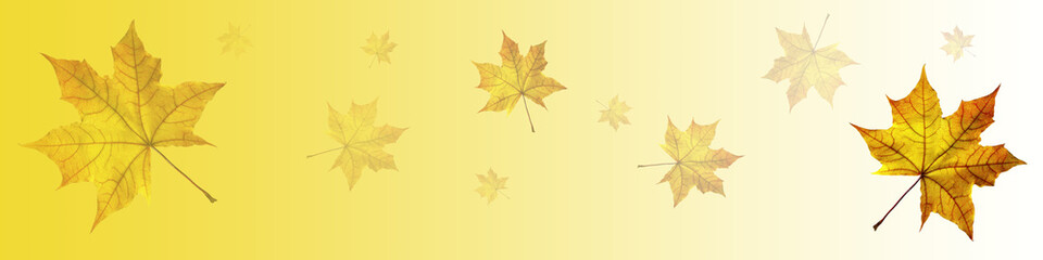 Naklejka na ściany i meble Falling autumn leaves