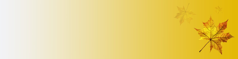 Falling autumn leaves