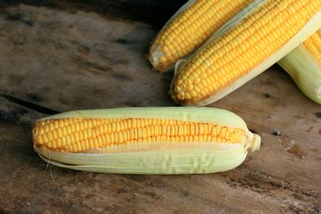 fresh corn