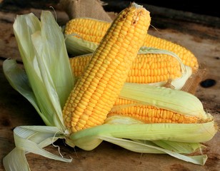 fresh corn