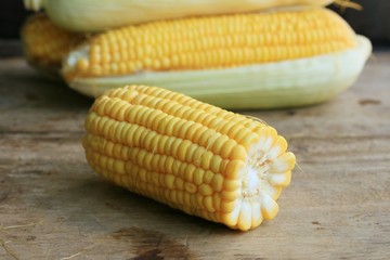fresh corn