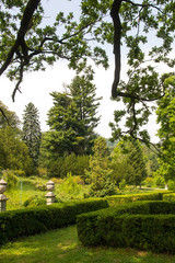 Fototapeta na wymiar Park with clipped shrubs