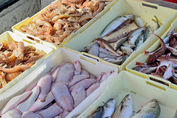 Selling fresh fish