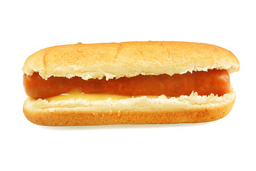 hot dog 10092015